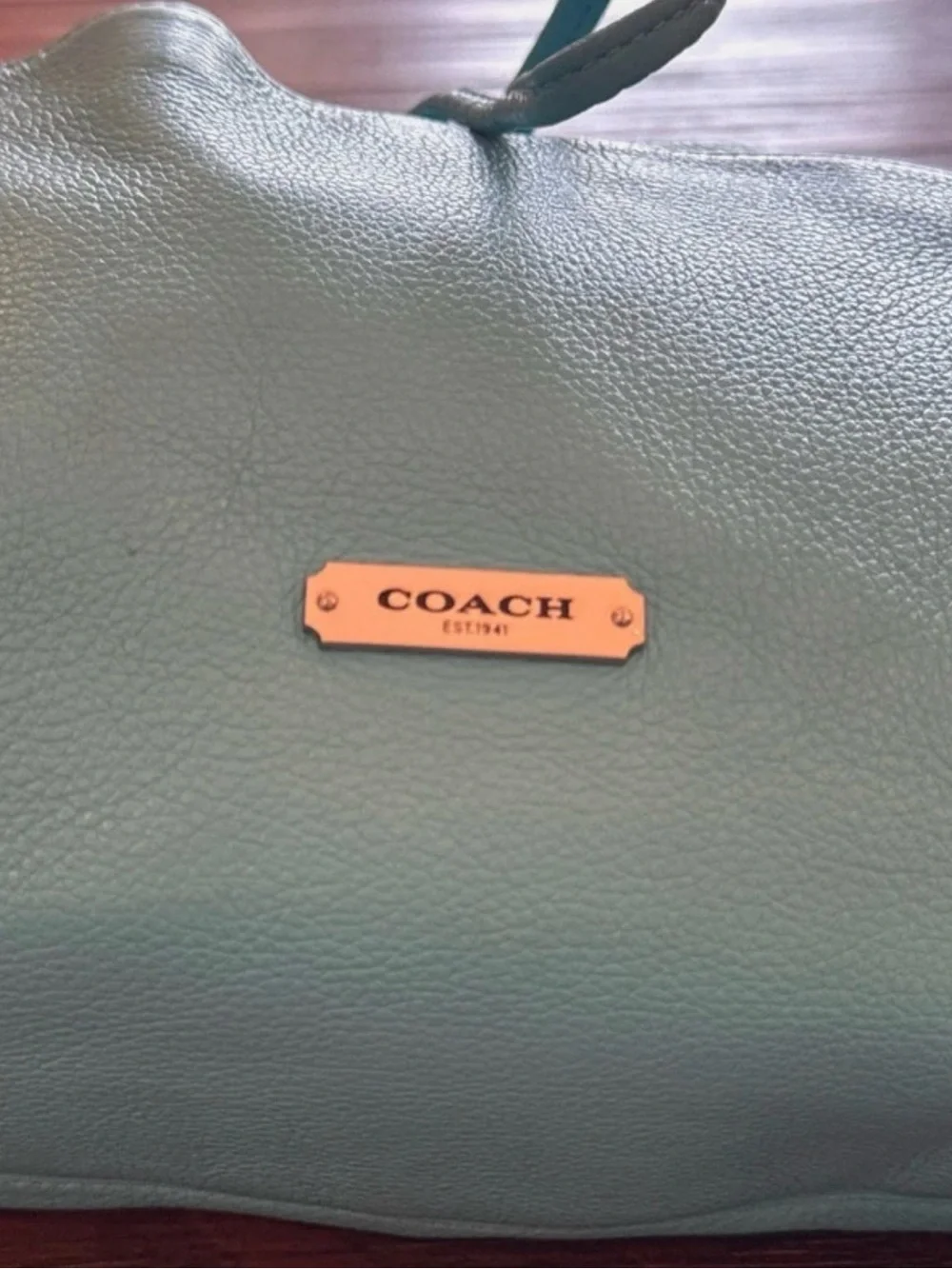 COACH Turquoise Drawstring Leather Bucket Bag